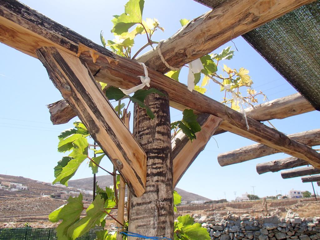 Pavlosx2 Folégandros Exteriör bild